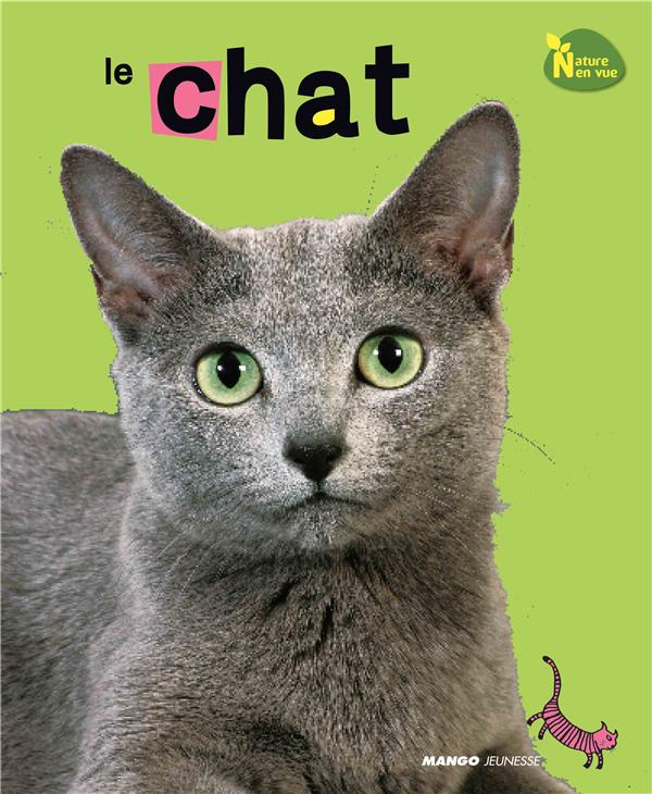 Le chat - flash vidéo