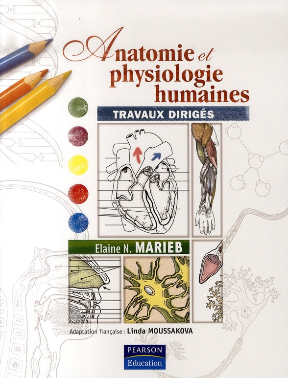 Anatomie et physiologie humaines ; td - flash vidéo