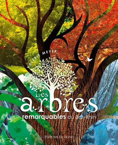 Les arbres remarquables du bas-rhin - flash vidéo
