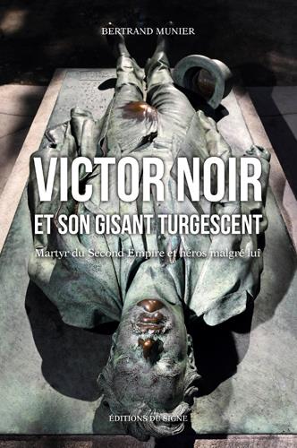 Victor noir et son gisant turgescent ; martyr du second empire et héros malgré lui - flash vidéo