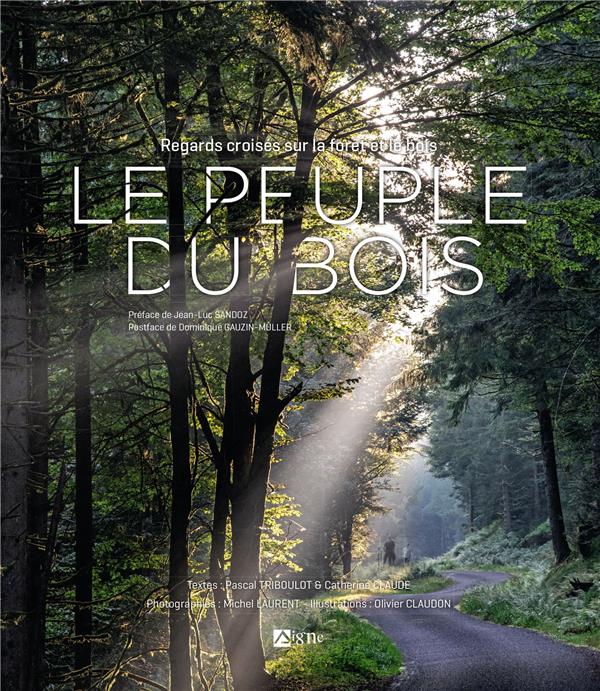 Le peuple du bois : regards croisés sur la forêt et le bois - flash vidéo