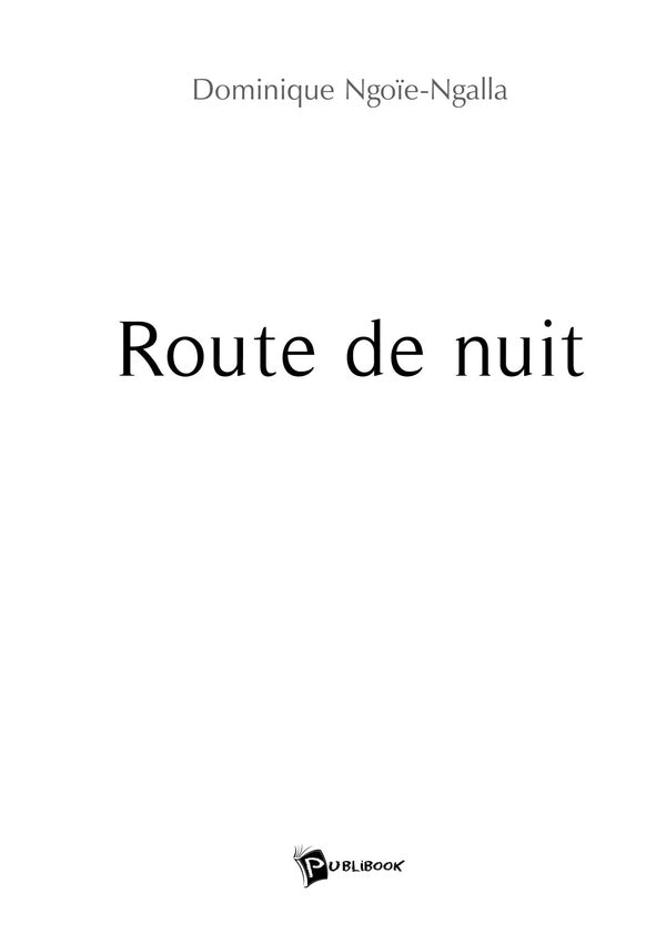 Route de nuit