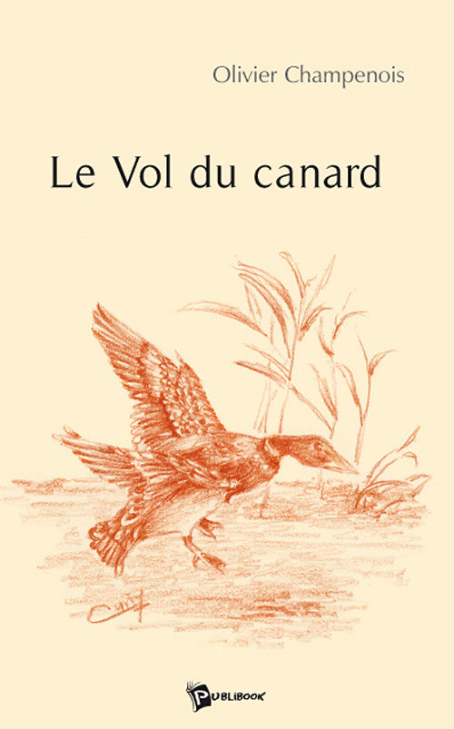 Le vol du canard