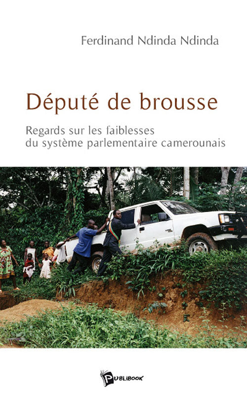 Député de brousse ; regards sur les faiblesses du système parlementaire camerounais