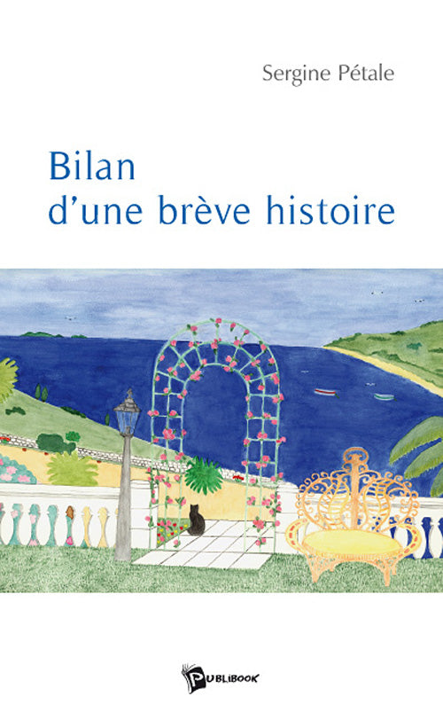 Bilan d'une brève histoire