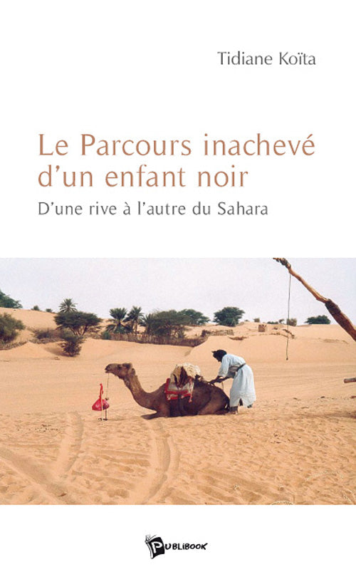 Le parcours inachevé d'un enfant noir ; d'une rive à l'autre du Sahara