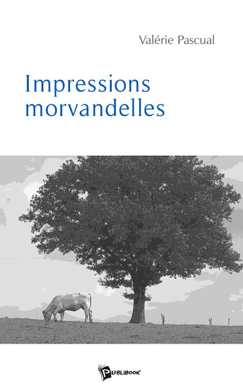 Impressions morvandelles