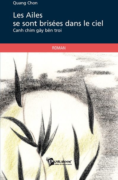 Les ailes se sont brisées dans le ciel ; cahn chim gây bên troi
