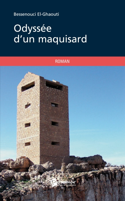 Odyssee d'un maquisard