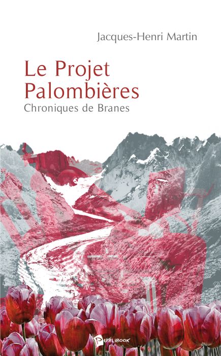 Chroniques de Branes Tome 6 ; le projet Palombières