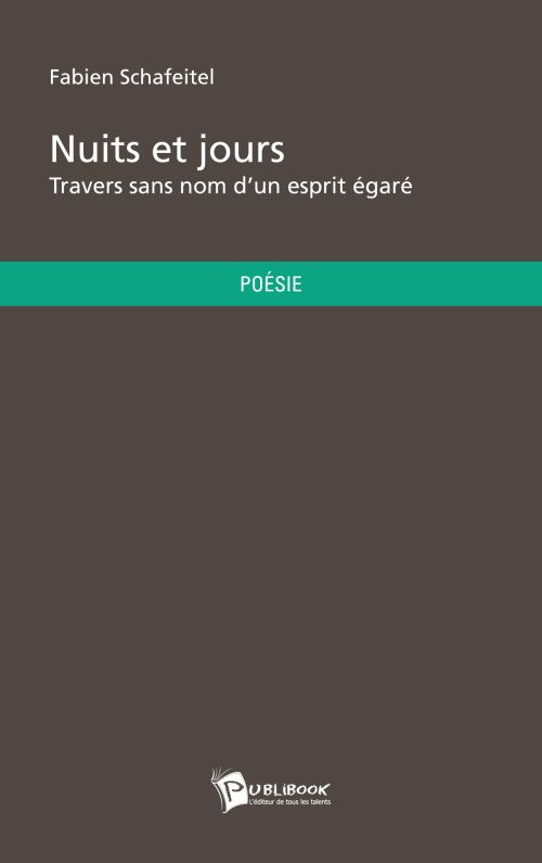 Nuits et jours ; travers sans nom d'un esprit égaré