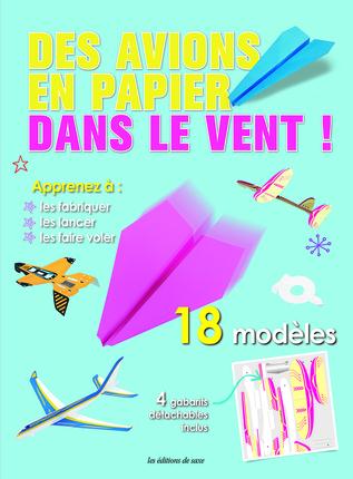 Des avions en papier dans le vent ! - flash vidéo