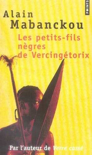 Les petits-fils nègres de Vercingétorix - flash vidéo