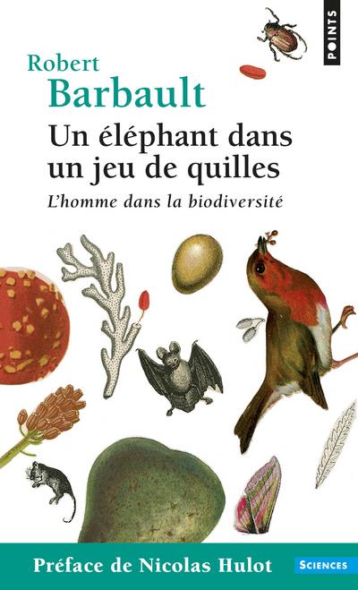 Un éléphant dans un jeu de quilles ; l'homme dans la biodiversité - flash vidéo