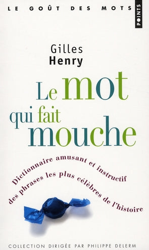 Le mot qui fait mouche - flash vidéo