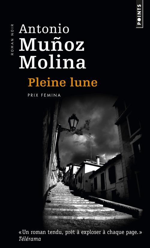 Pleine lune - flash vidéo