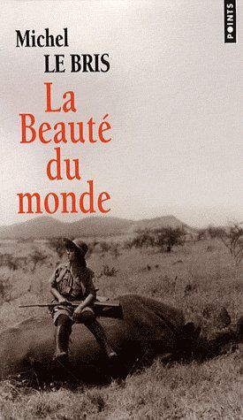 La beauté du monde - flash vidéo