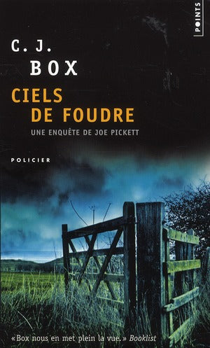 Ciels de foudre - flash vidéo