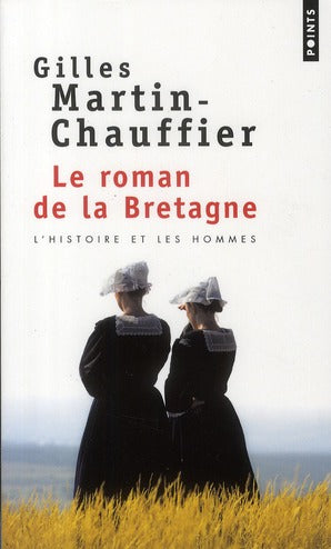 Le roman de la Bretagne ; l'histoire et les hommes - flash vidéo