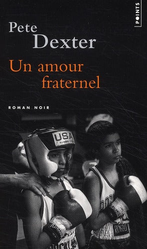 Un amour fraternel - flash vidéo