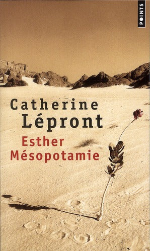 Esther Mésopotamie - flash vidéo