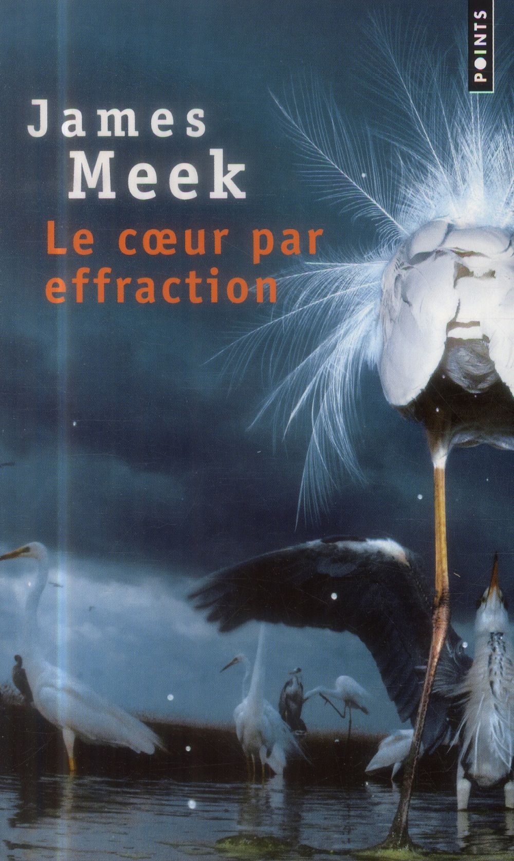 Le coeur par effraction