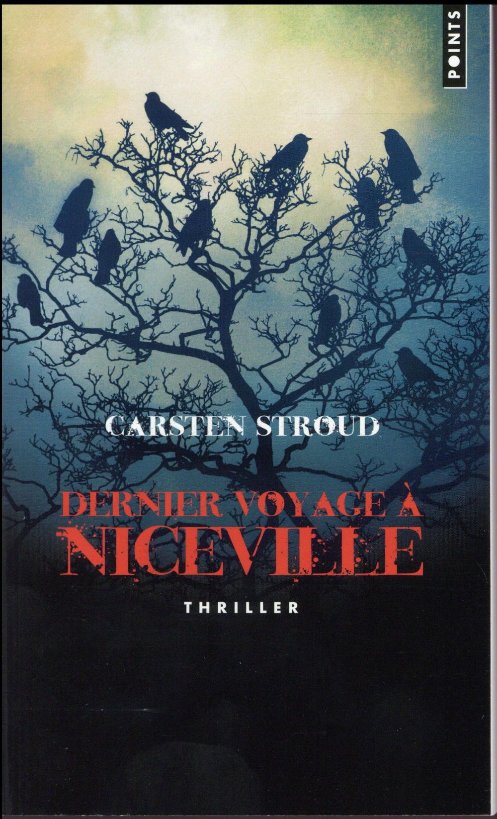 Dernier voyage à Niceville