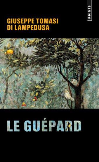 Le guépard - flash vidéo