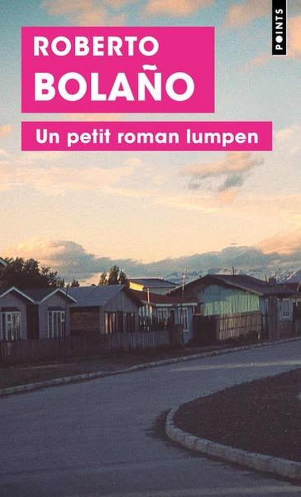 Un petit roman lumpen