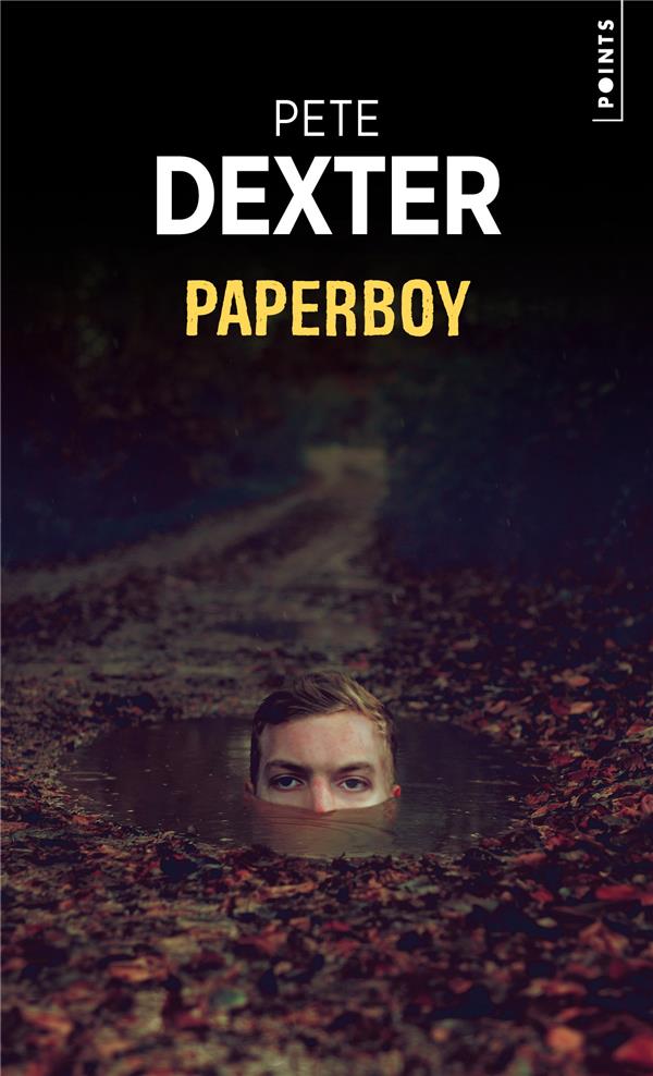 Paperboy - flash vidéo