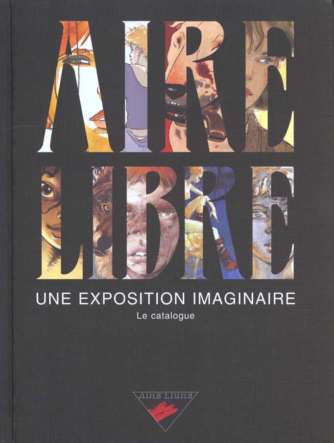Collectif aire libre ; l'exposition imaginaire - flash vidéo