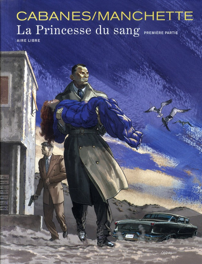 La princesse de sang Tome 1 - flash vidéo
