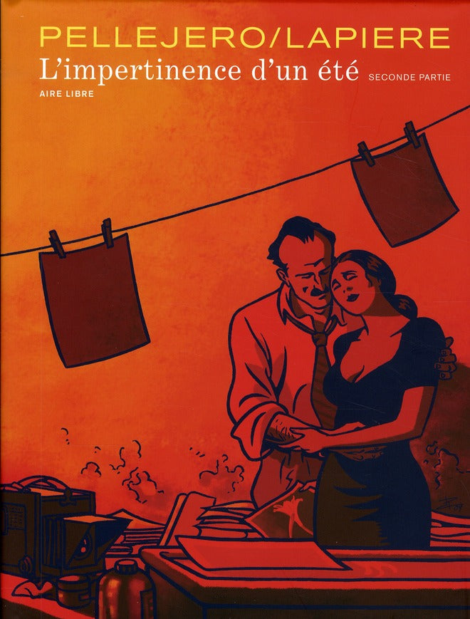 L'impertinence d'un été Tome 2 - flash vidéo