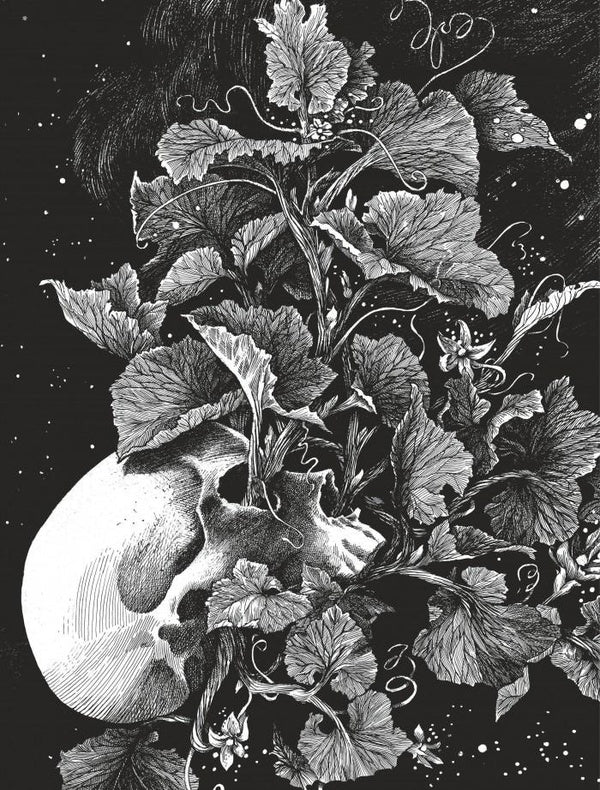 La tête de mort venue de Suède