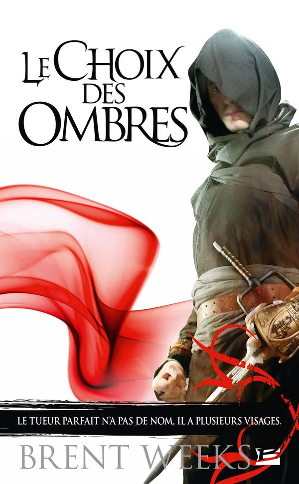 L'ange de la nuit Tome 2 : le choix des ombres