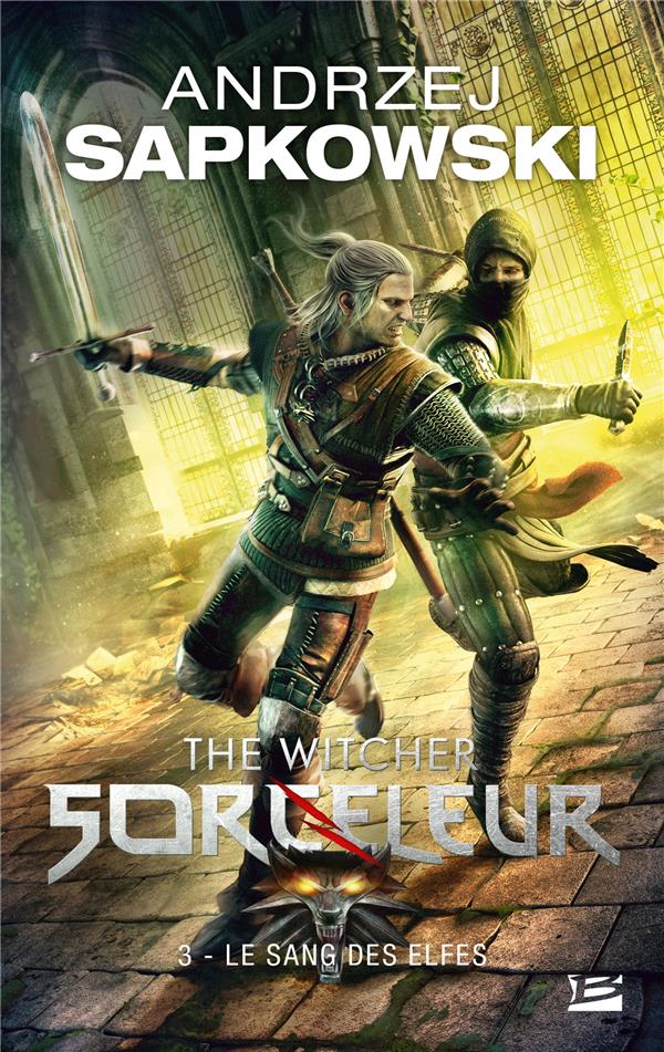 The Witcher (le sorceleur) Tome 3 : le sang des elfes