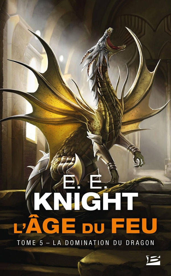 L'âge du feu Tome 5 : la domination du dragon