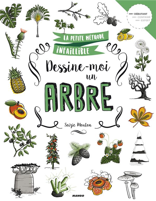 Dessine-moi un arbre - flash vidéo