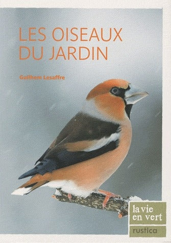 Les oiseaux du jardin - flash vidéo
