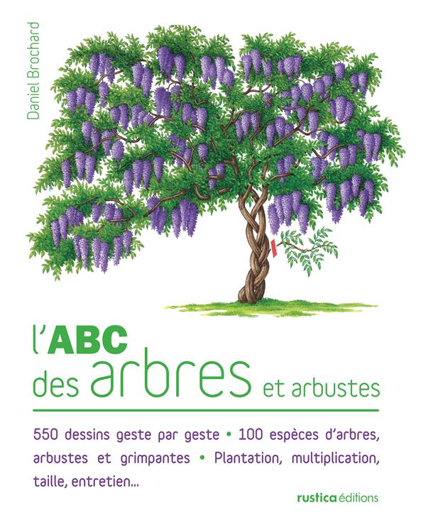 L'ABC des arbres et arbustes du jardin