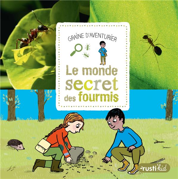 Le monde secret des fourmis - flash vidéo