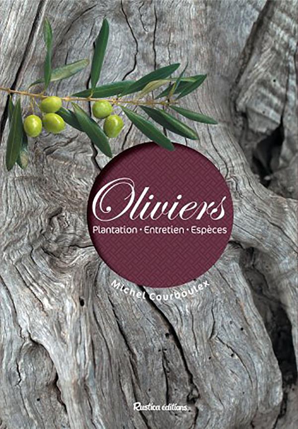 Oliviers - flash vidéo