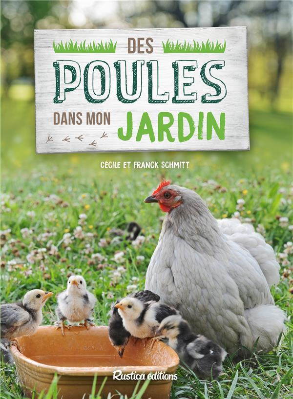 Des poules dans mon jardin - flash vidéo