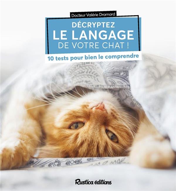 Décryptez le langage de votre chat ! 10 tests pour bien le comprendre