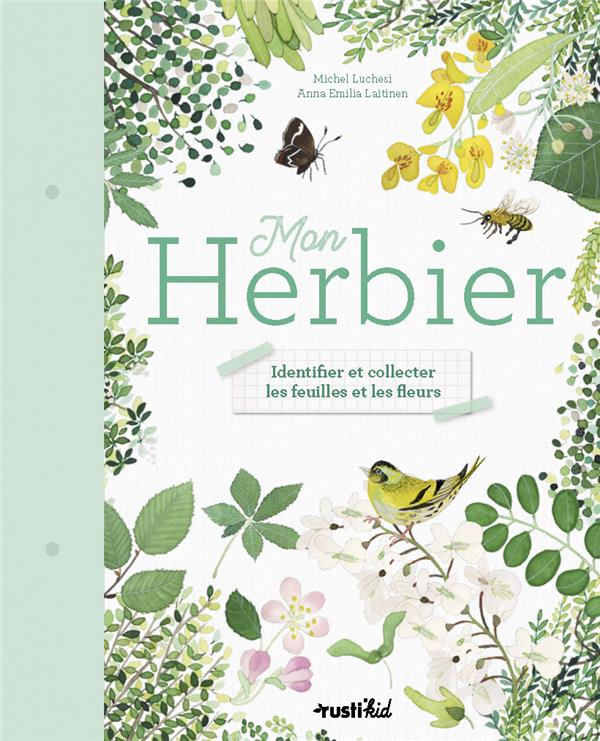 Mon herbier ; identifier et collecter les feuilles et les fleurs - flash vidéo