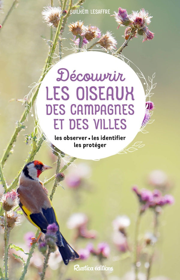 Découvrir les oiseaux des campagnes et des villes - flash vidéo