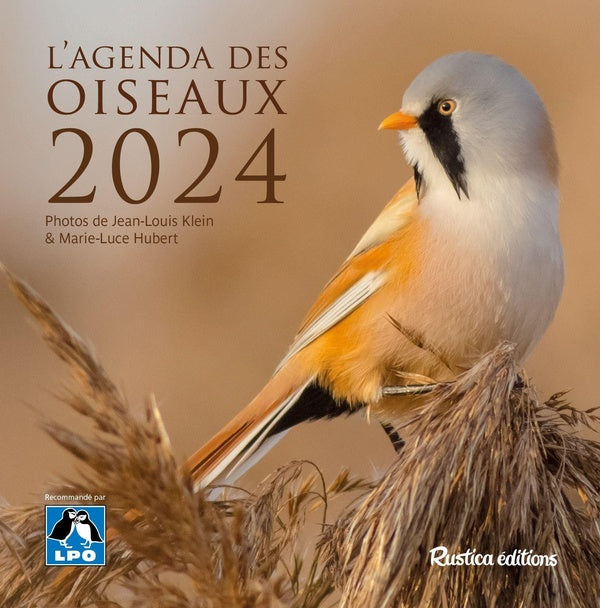 L'agenda des oiseaux (édition 2024) - flash vidéo