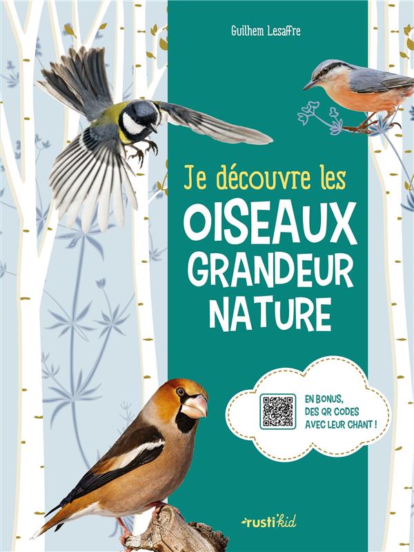 Je découvre les oiseaux grandeur nature - flash vidéo