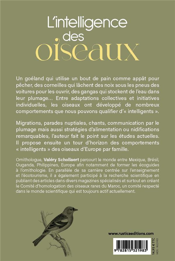L'intelligence des oiseaux : Entre stratégies collectives & génie individuel