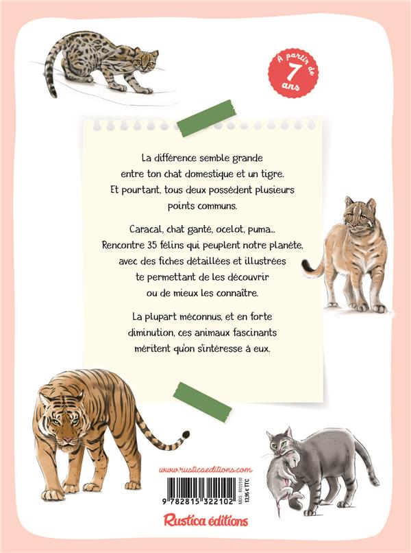 Chats et autres félins